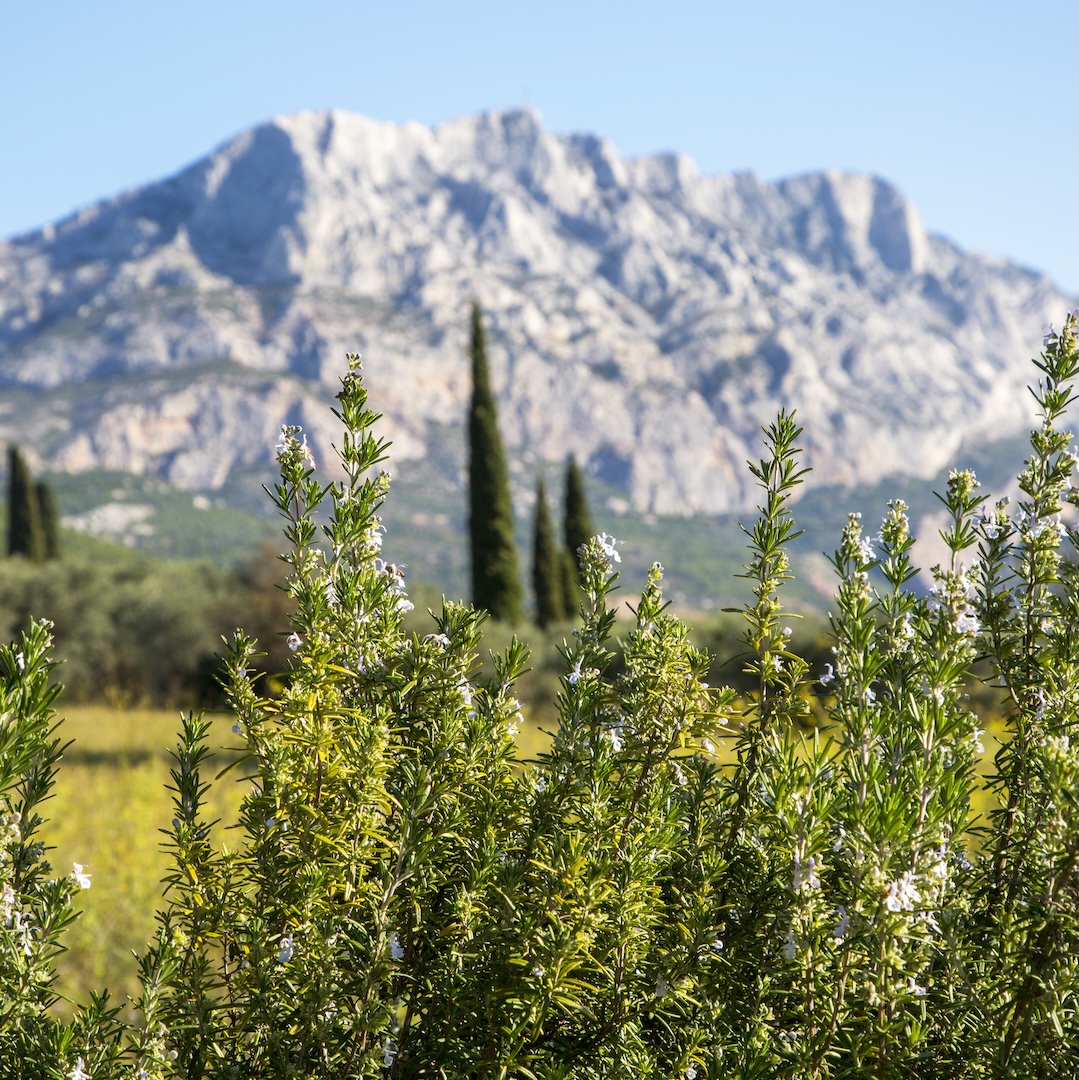 Sainte Victoire crédit Sophie Spiteri (37)